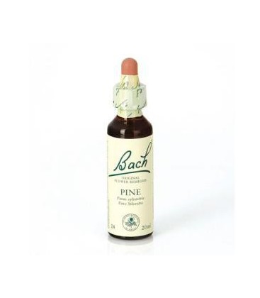 Dr. Bach Pine - Flor de Bach (20 ml.) 