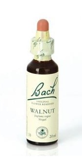 DR. BACH WALNUT