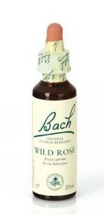 DR. BACH WILD ROSE
