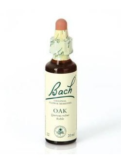 DR. BACH OAK