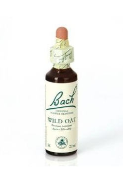 DR.BACH WILD OAT 